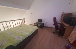 Apartament 2 camere, 55 mp, pet friendly, zona Hotel Royal