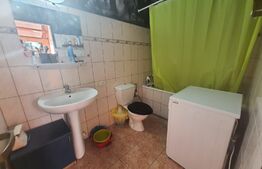 Apartament 2 camere, 55 mp, pet friendly, zona Hotel Royal