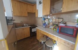 Apartament 2 camere, 55 mp, pet friendly, zona Hotel Royal