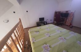 Apartament 2 camere, 55 mp, pet friendly, zona Hotel Royal