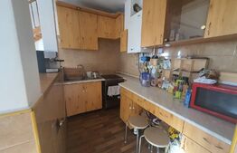 Apartament 2 camere, 55 mp, pet friendly, zona Hotel Royal