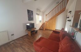 Apartament 2 camere, 55 mp, pet friendly, zona Hotel Royal