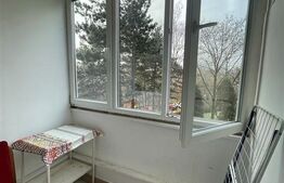 Garsoniera 28 mp, decomandata, balcon, zona Detunata