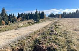 Teren de 1600 mp  cu utilitatile la frontul terenului