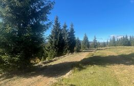 Teren de 1600 mp  cu utilitatile la frontul terenului