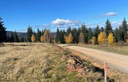 Teren de 1600 mp  cu utilitatile la frontul terenului