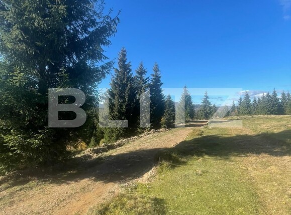 Teren de vânzare Exterior Vest - 104242TV | BLITZ Cluj-Napoca | Poza1