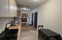 Apartament 2 camere, decomandat, 52 mp, terasa de 21 mp, complex Junior