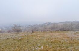 OPORTUNITATE! Teren intravilan, 816 mp, utilitati in zona  , Borhanci-  str Romul Ladea