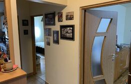 Apartament cu 3 camere finisat si mobilat, Parcul Rozelor