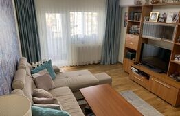 Apartament cu 3 camere finisat si mobilat, Parcul Rozelor