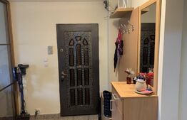 Apartament cu 3 camere finisat si mobilat, Parcul Rozelor