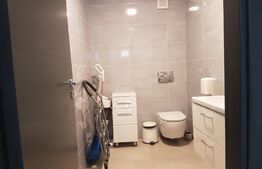 Spatiu de birouri,110 mp, zona Bulevardului 21 Decembrie 1989