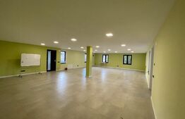 Spatiu de birouri,110 mp, zona Bulevardului 21 Decembrie 1989