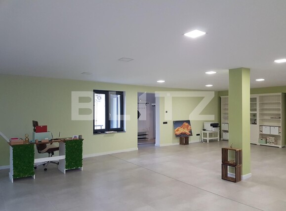 Spațiu birouri de închiriat Central - 104279SIB | BLITZ Cluj-Napoca | Poza2