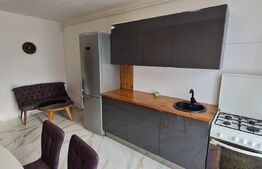 Apartament cu o camera, decomandat, mobilat si utilat, orientare sudica, zona Eroilor