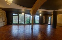 Spatiu comercial de top pentru activitati multiple, 400-740mp