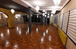 Spatiu comercial de top pentru activitati multiple, 400-740mp