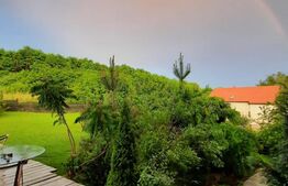 INVESTITIE! Spatiu comercial de top cu preluare de chiriasi