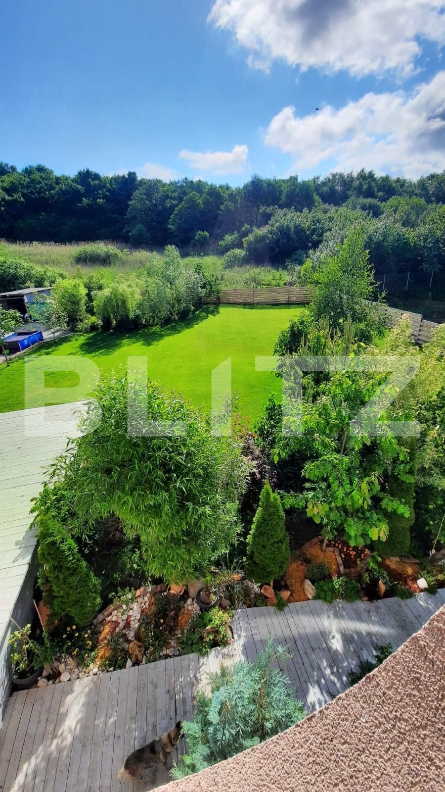 Spațiu comercial de închiriat Feleacu - 104368SIC | BLITZ Cluj-Napoca | Poza15