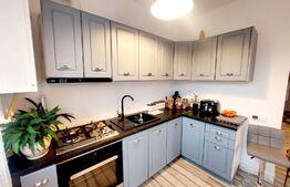 Apartament de 4 camere in vila, 93.2mp, gradina 73mp, scara interioara, zona Tineretului