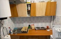 Garsonieră 21 mp, etaj intermediar, zona Plevnei