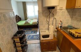 Garsonieră 21 mp, etaj intermediar, zona Plevnei