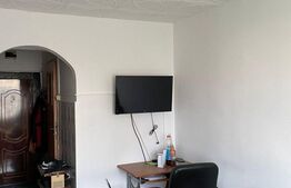 Garsonieră 21 mp, etaj intermediar, zona Plevnei