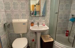 Garsonieră 21 mp, etaj intermediar, zona Plevnei