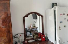 Garsonieră 21 mp, etaj intermediar, zona Plevnei