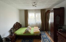 Garsonieră 21 mp, etaj intermediar, zona Plevnei