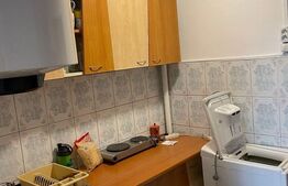 Garsonieră 21 mp, etaj intermediar, zona Plevnei