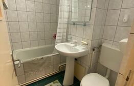 Apartament cu o camera, 47 mp, decomandat, boxa, zona strazii Vanatorului