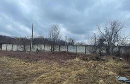 Teren intravilan cu PUZ, constructii casa individuala, 503mp, front 16ml, cartier Noua