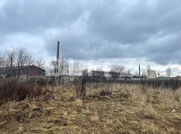 Teren de vânzare Noua - 104552TV | BLITZ Brașov | Poza3