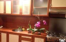 Apartament cu 1 camera, 40 mp, imobil nou, parcare, mobilat modern, in zona strazii Bucuresti