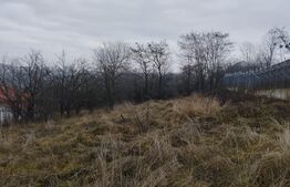 Teren 2950 mp, pentru constructie case, Feleacu, priveliste deosebita!