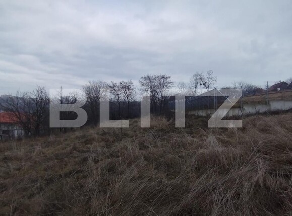 Teren de vânzare Feleacu - 104573TV | BLITZ Cluj-Napoca | Poza2