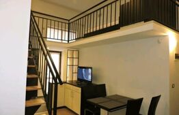 OPORTUNITATE DE INVESTIȚIE! 4 apartamente tip studio+ 1 loc de parcare inclus în preț, 160 mp, zona Plopilor