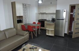 OPORTUNITATE DE INVESTIȚIE! 4 apartamente tip studio+ 1 loc de parcare inclus în preț, 160 mp, zona Plopilor