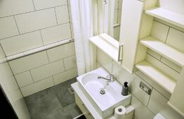 OPORTUNITATE DE INVESTIȚIE! 4 apartamente tip studio+ 1 loc de parcare inclus în preț, 160 mp, zona Plopilor