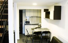 OPORTUNITATE DE INVESTIȚIE! 4 apartamente tip studio+ 1 loc de parcare inclus în preț, 160 mp, zona Plopilor