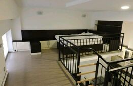 OPORTUNITATE DE INVESTIȚIE! 4 apartamente tip studio+ 1 loc de parcare inclus în preț, 160 mp, zona Plopilor