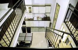 OPORTUNITATE DE INVESTIȚIE! 4 apartamente tip studio+ 1 loc de parcare inclus în preț, 160 mp, zona Plopilor