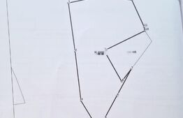 Teren intravilan pentru casa sau duplex, 3160 mp, Certificat de urbanism, sat Tauti