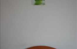 1 camera, 30 mp, imobil nou, mobilat modern, zona UMF