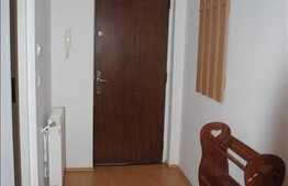 1 camera, 30 mp, imobil nou, mobilat modern, zona UMF