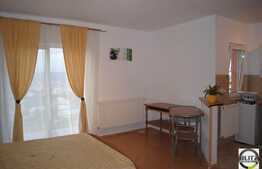 1 camera, 30 mp, imobil nou, mobilat modern, zona UMF