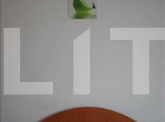 Garsonieră de închiriat Zorilor - 10478AI | BLITZ Cluj-Napoca | Poza3