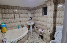 Duplex la cheie 150 mp utili, 249 mp teren, Grigorescu 